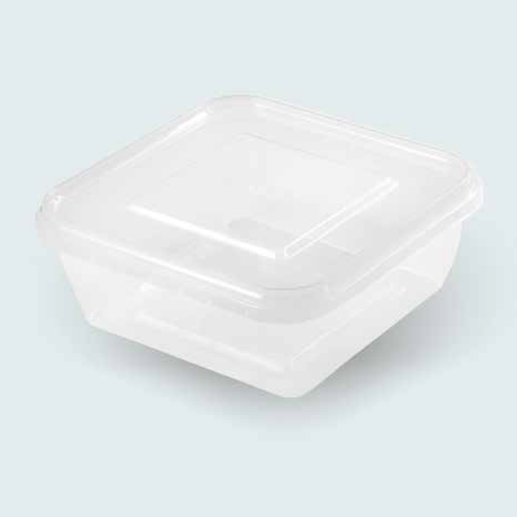 Rectangular Food Container with Lid 800 cc