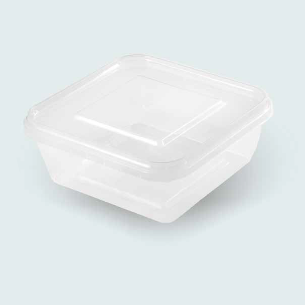 Rectangular Food Container with Lid 1600 cc